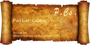 Pallai Csaba névjegykártya